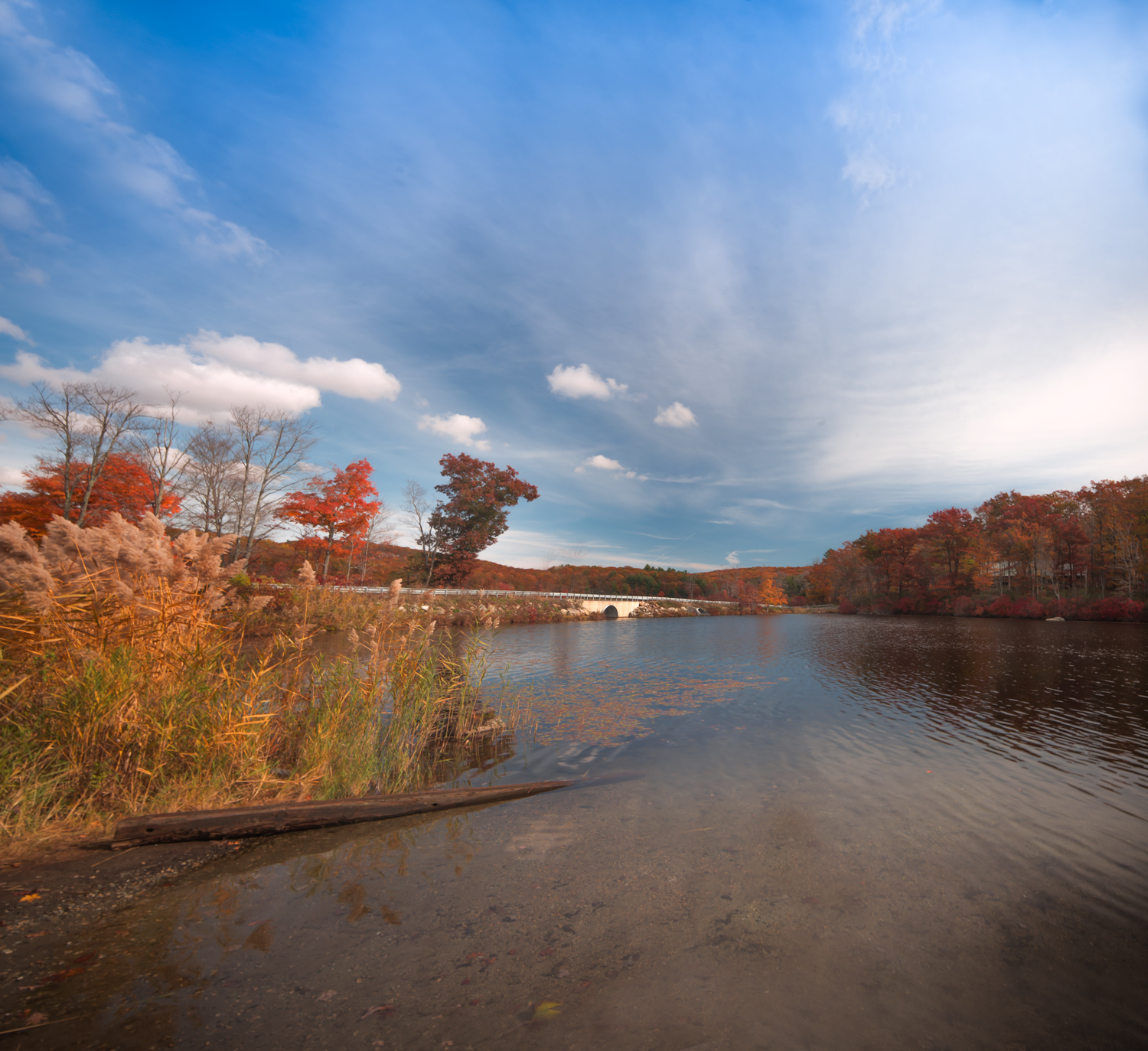 Summer is not to far away